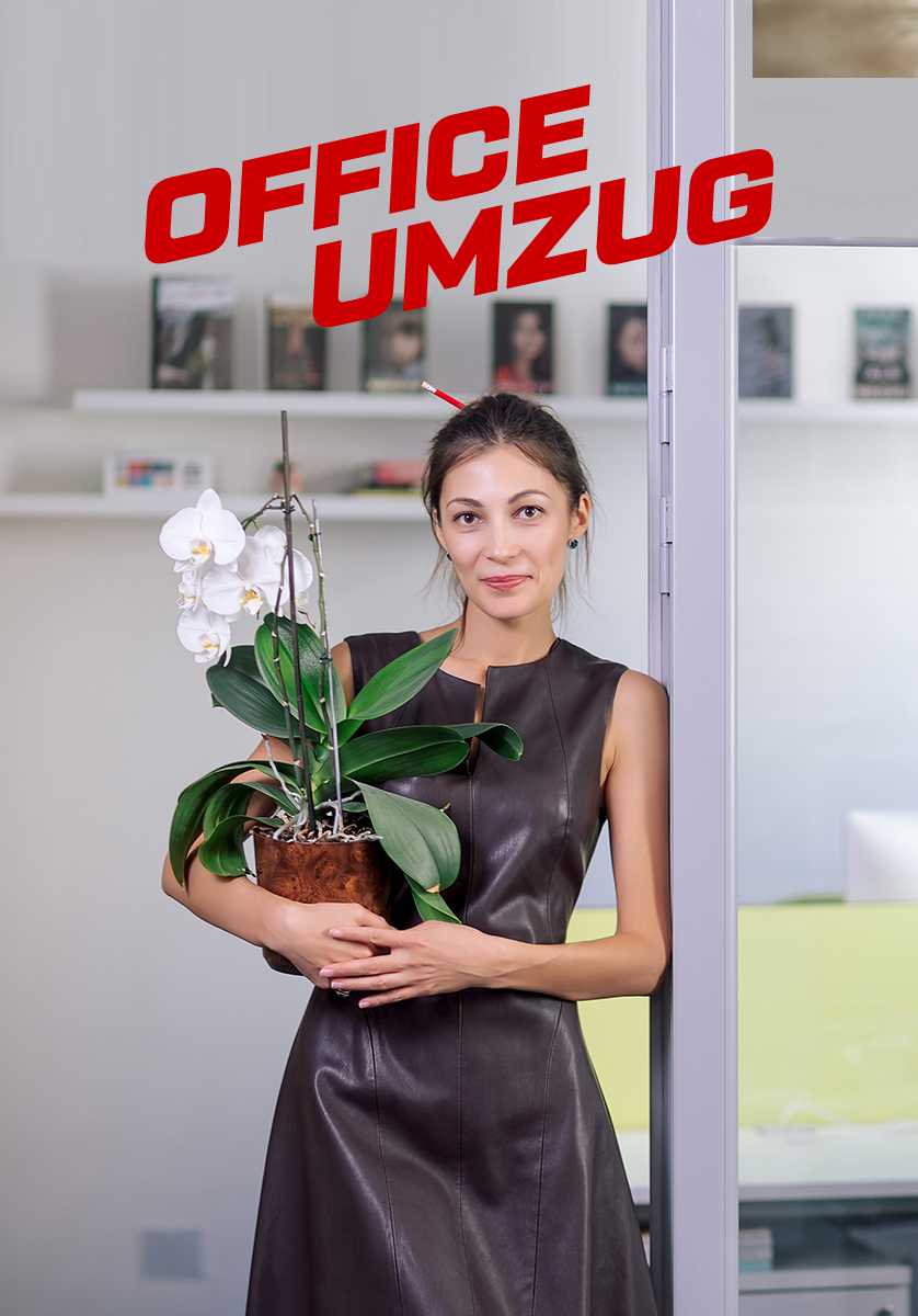 office umzug